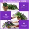 Artificial Hanging Flower Basket for Outdoors, UV Resistant Faux Silk Hanging Plants with Real Touch Flowers, Fake Outdoor Hanging Flowers for Front Porch Patio Balcony Garden Spring Summer Home Decor, Double Purple